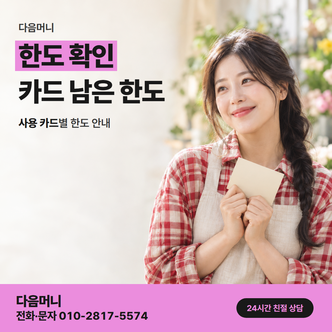 다음머니 예산카드깡 받으실 금액에 맞춰 보는 남은 한도